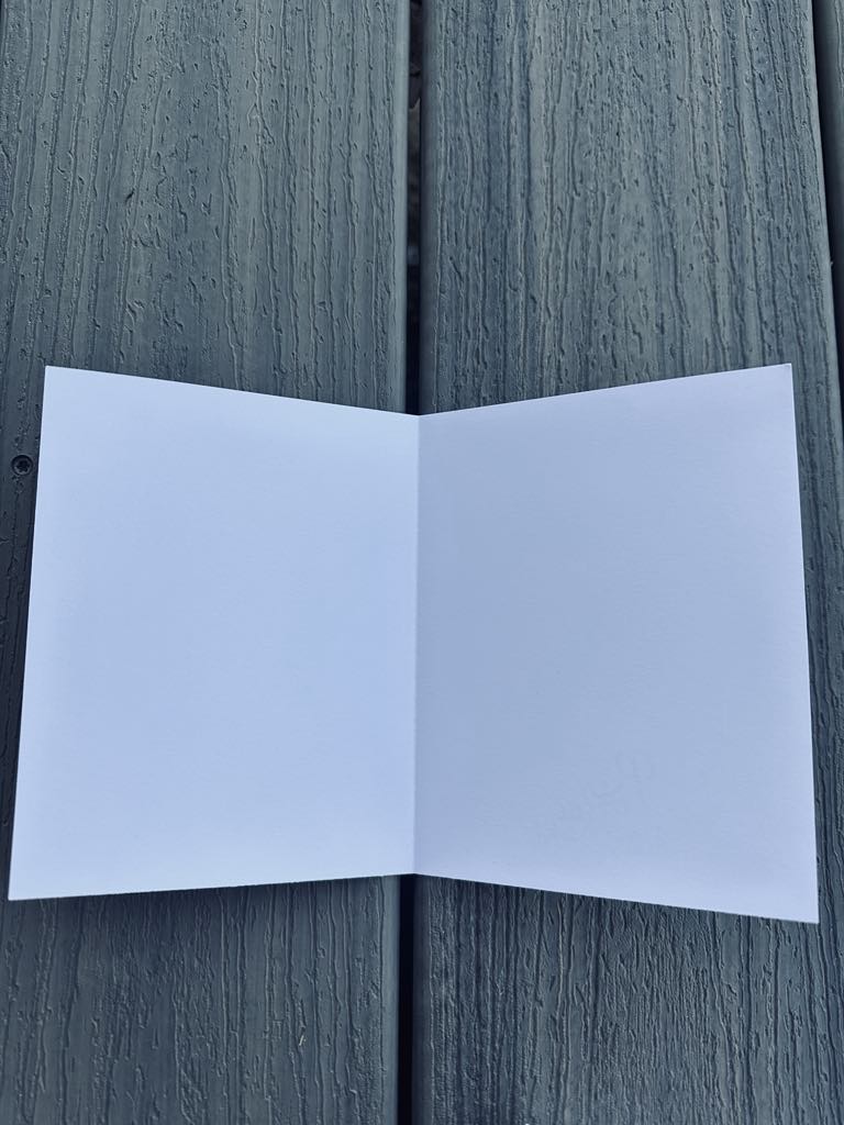 Set of 6 Original Indian Paintbrush Art Cards