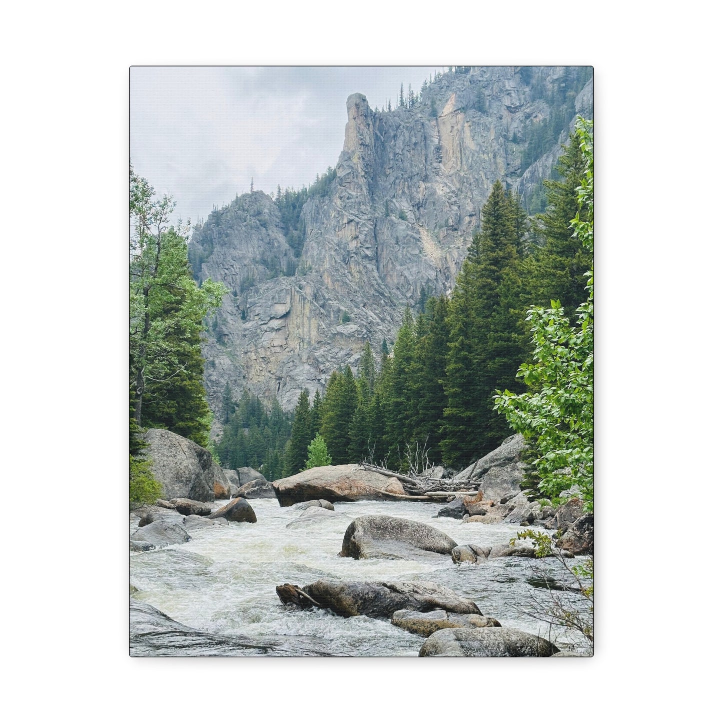 Top of the Canyon Big Horn Mountains Canvas Gallery Wrap