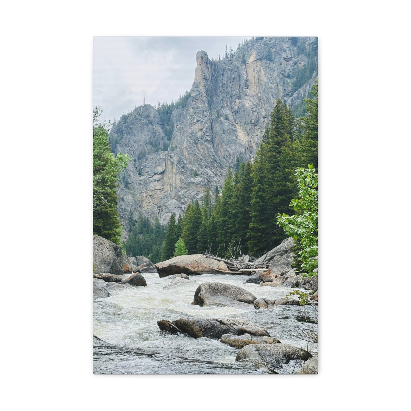 Top of the Canyon Big Horn Mountains Canvas Gallery Wrap