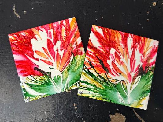 Indian Paintbrush Coaster Set