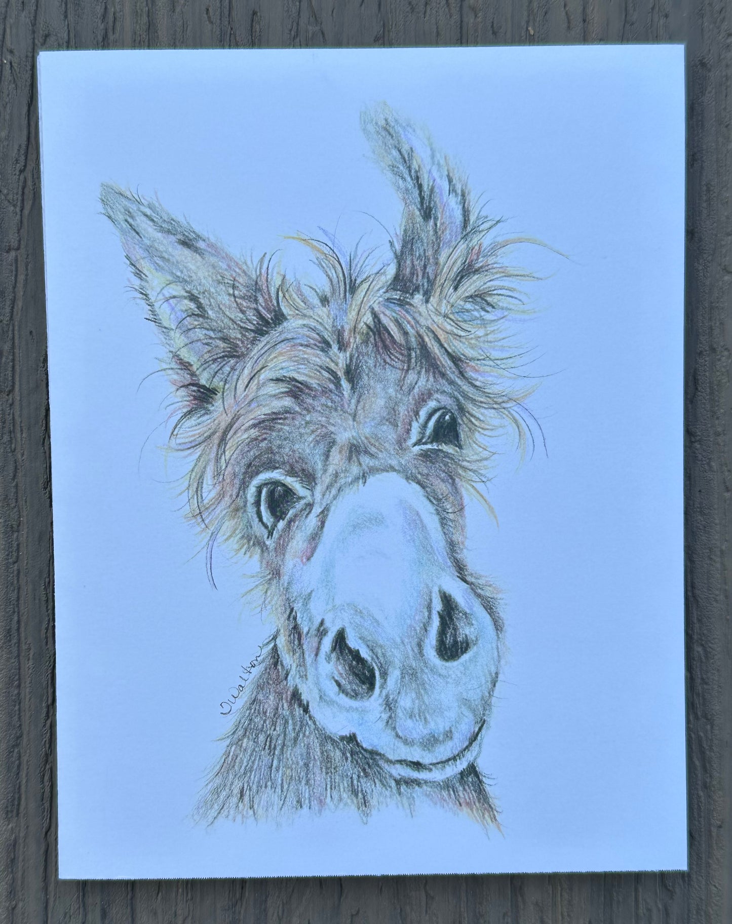 Set of 6 Original Farm Art Cards