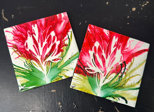 Indian Paintbrush Coaster Set