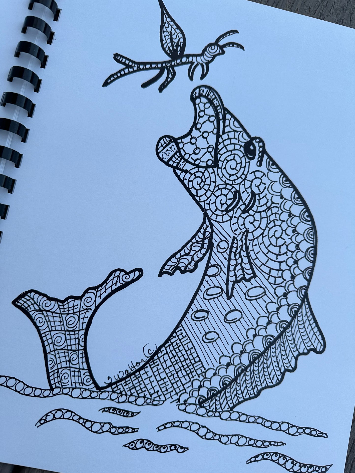 A Day In The Bighorn Mountains Coloring Book