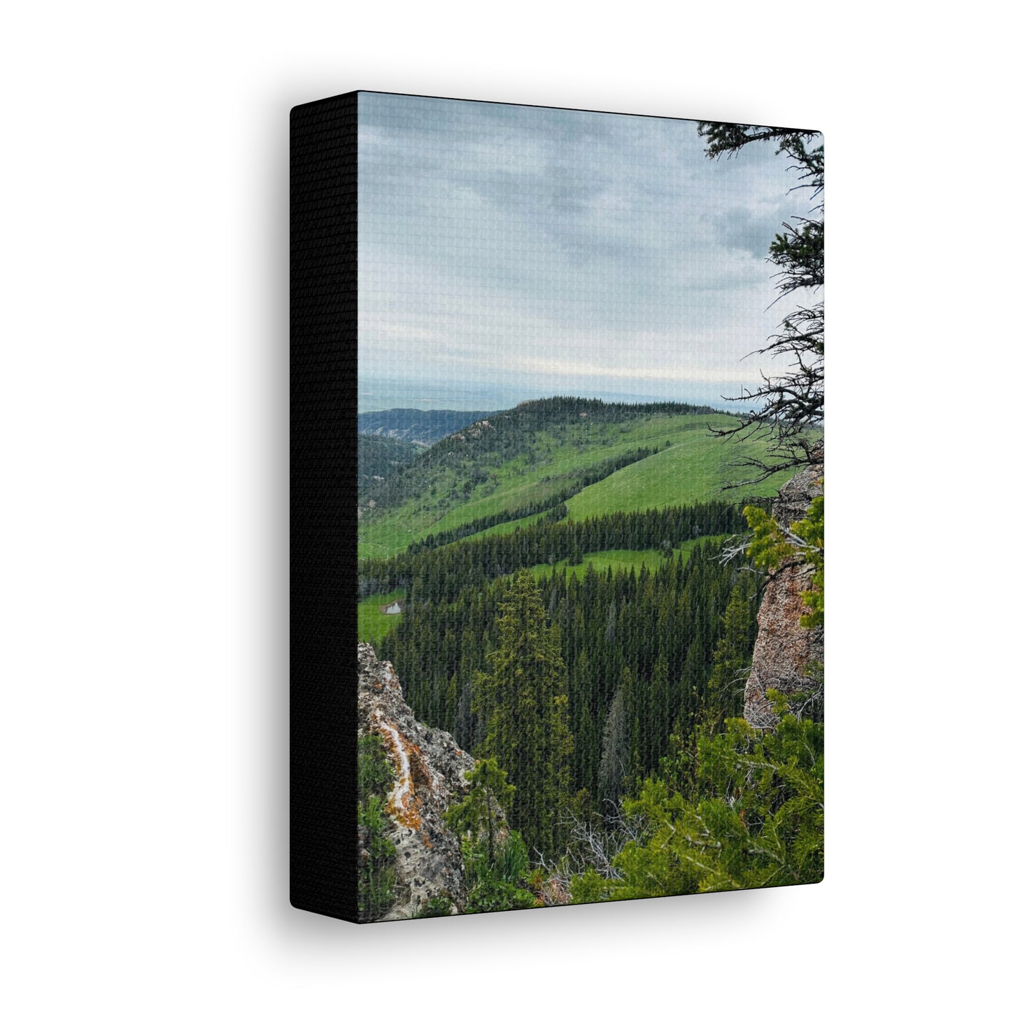 Freeze Out Big Horn Mountains Canvas Gallery Wrap