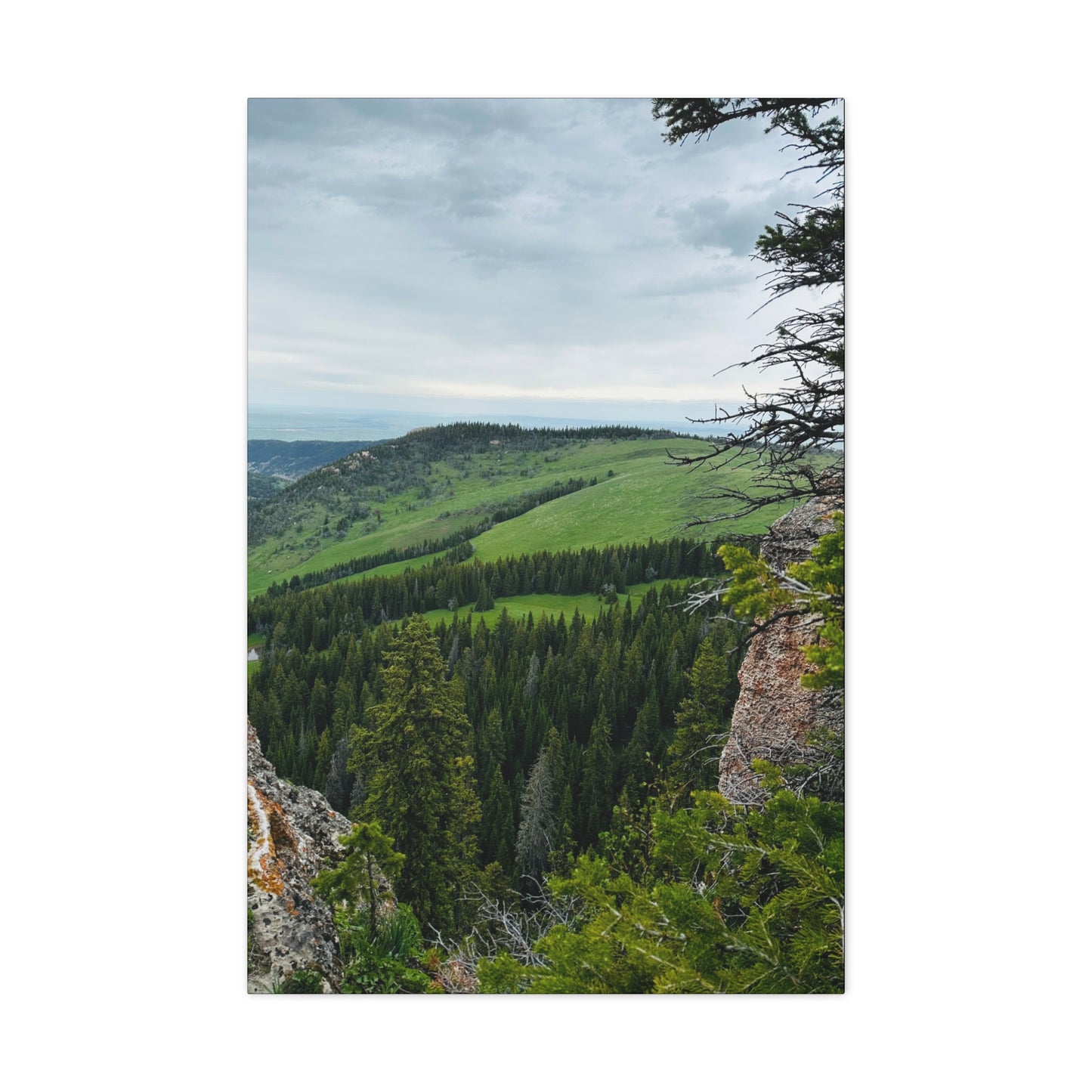 Freeze Out Big Horn Mountains Canvas Gallery Wrap