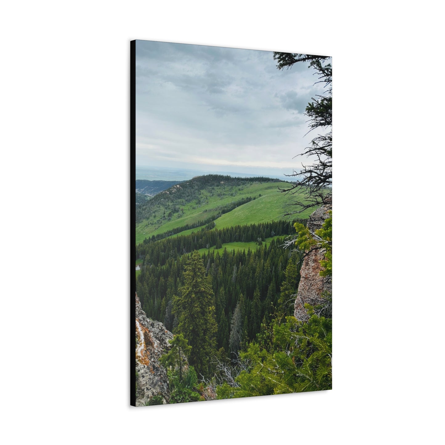 Freeze Out Big Horn Mountains Canvas Gallery Wrap