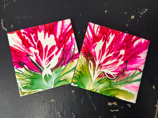 Indian Paintbrush Coaster Set