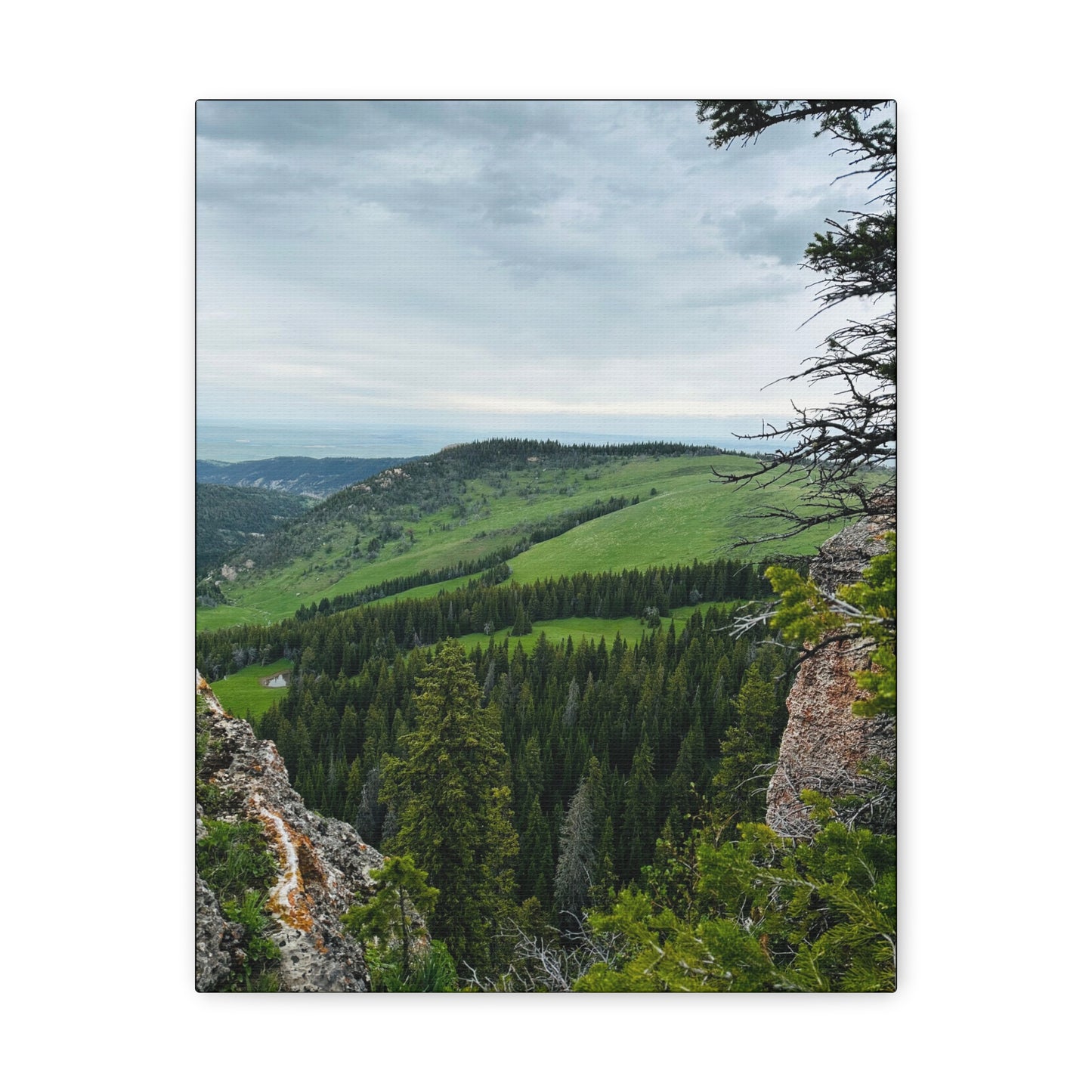 Freeze Out Big Horn Mountains Canvas Gallery Wrap