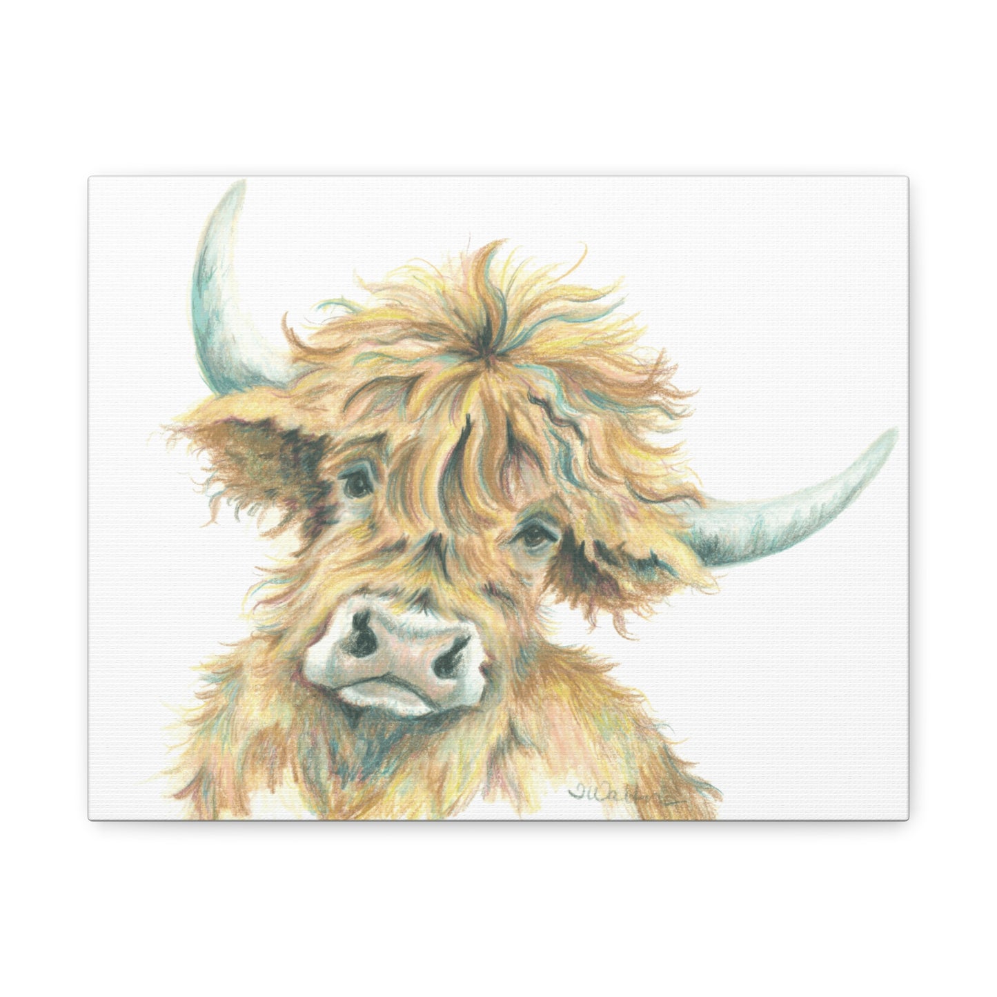 Original Highlander Pencil Art Canvas Print Gallery Wrap