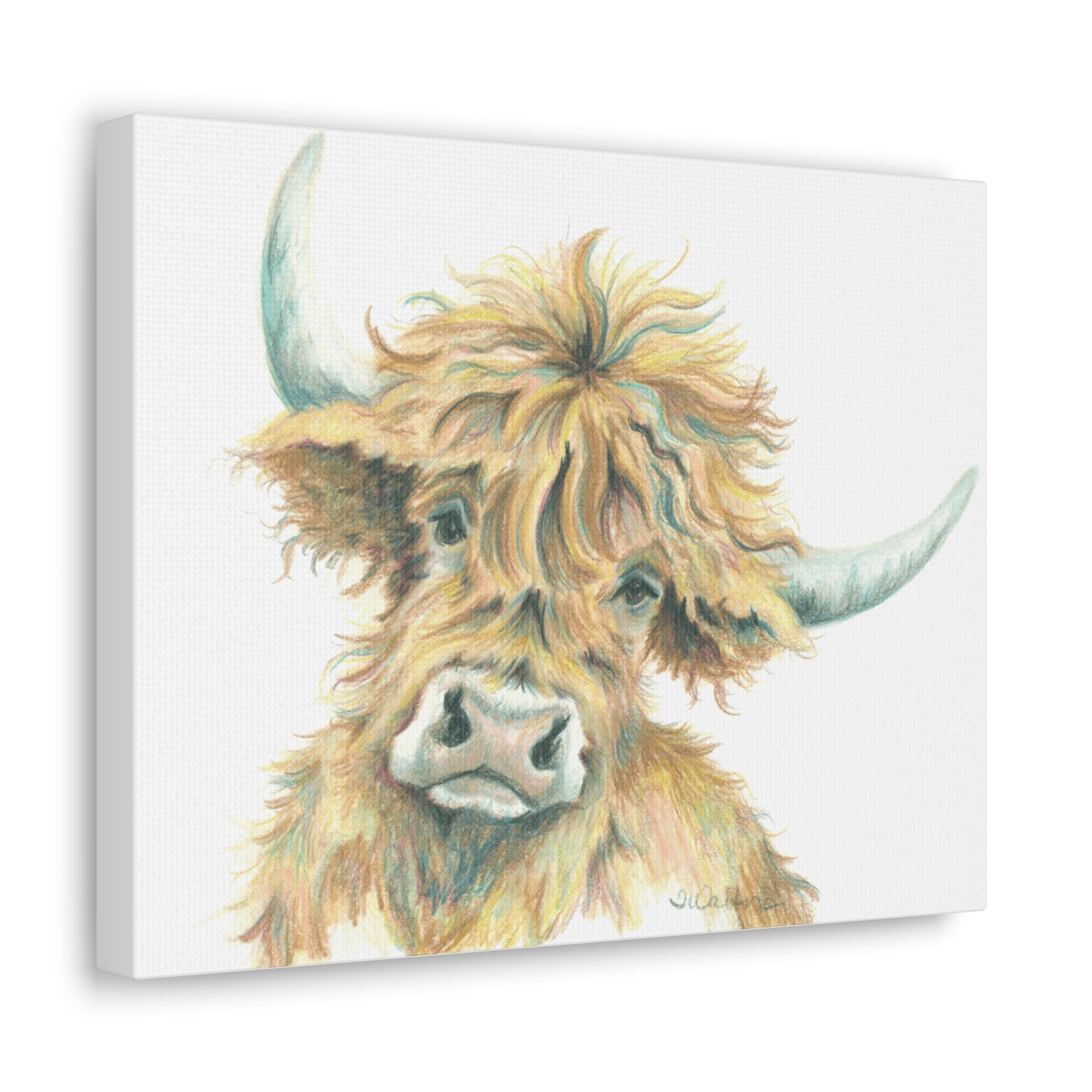 Original Highlander Pencil Art Canvas Print Gallery Wrap