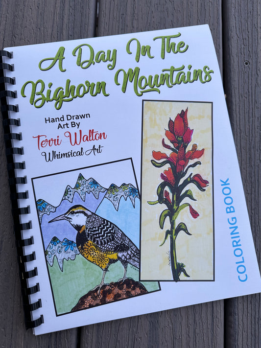 A Day In The Bighorn Mountains Coloring Book